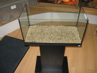 Aquarium With Gravel