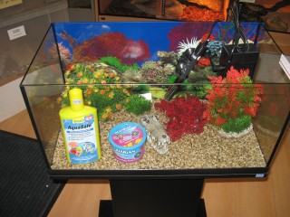 Essential Aquarium Accessories