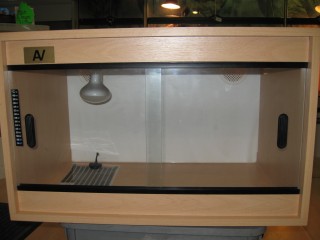 Vivarium With Light