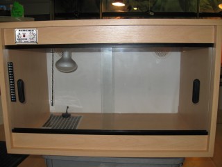 Vivarium With Thermostat